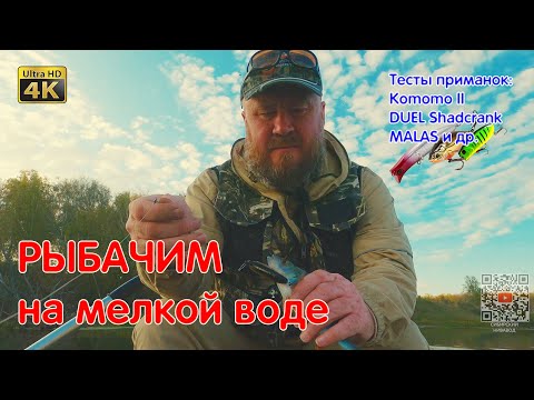 Видео: 🔥Ловим Хищника На Мелководье: Что Взять С Собой? 🎣✨ Тесты Приманок - Komomo/Malas/Shad Crank и др.