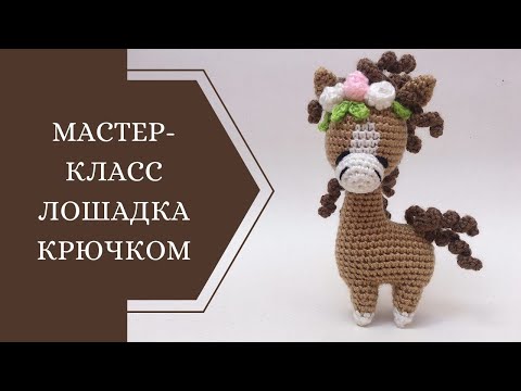 Видео: МАСТЕР-КЛАСС ЛОШАДКА КРЮЧКОМ (1 часть)