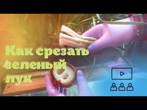 Видео: Исправляем ошибки,свет для лука
