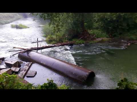 Видео: Бирюли  2018