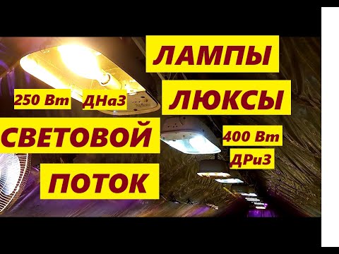 Видео: ДОСВЕТКА РАСТЕНИЙ🥒🍓//СВЕТОВОЙ ПОТОК//ЛЮКСЫ//💡ЛАМПЫ ДНаЗ, ДРиЗ и ФИТОМАТРИЦЫ