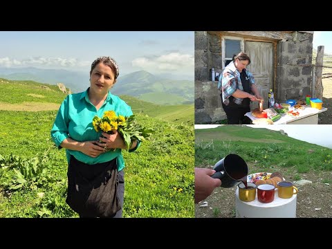 Видео: Հասանք ՄՈՒՐՂՈՒԶ ՍԱՐ Ավելուկ Քաղելու - Շամշադինի Համը - Шамшадин