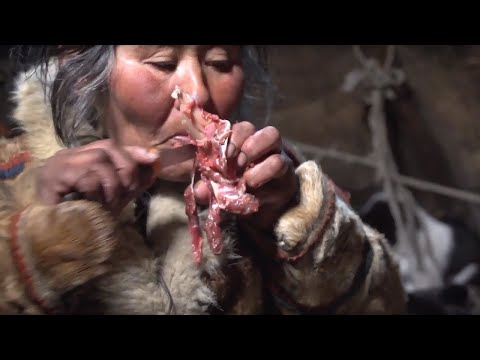 Видео: Ненцы. Между летом и зимой | Полярные истории
