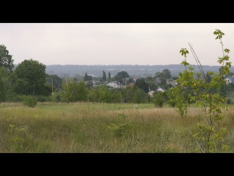 Видео: Село Орлово Новоусманского района