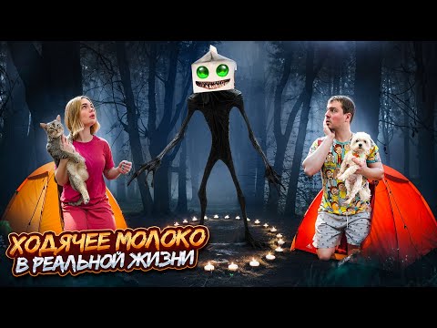 Видео: ХОДЯЧЕЕ МОЛОКО В РЕАЛЬНОЙ ЖИЗНИ | 24 ЧАСА В ПАЛАТКЕ С КОТОМ И СОБАКОЙ