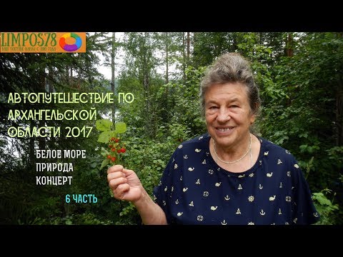 Видео: 6 ЧАСТЬ  Автопутешествие по Архангельской области и Белому морю 2017