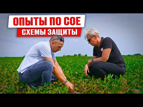 Видео: Схемы защиты сои | Какими гербицидами работать? | Выращивание сои