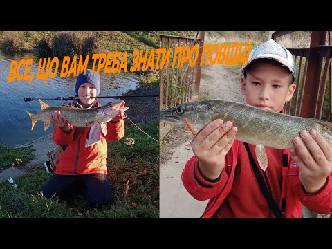 Видео: Все, що вам треба знати про повідці