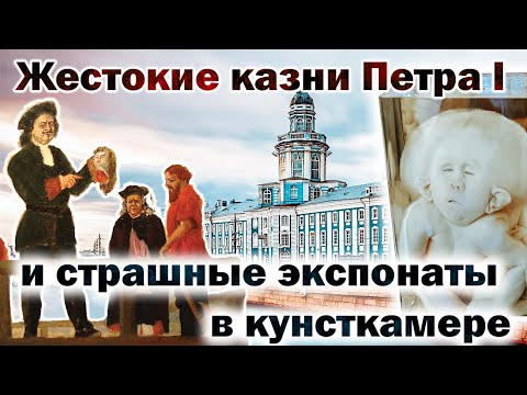 Видео: Такого вы не видели! Отправляемся в Кунсткамеру.