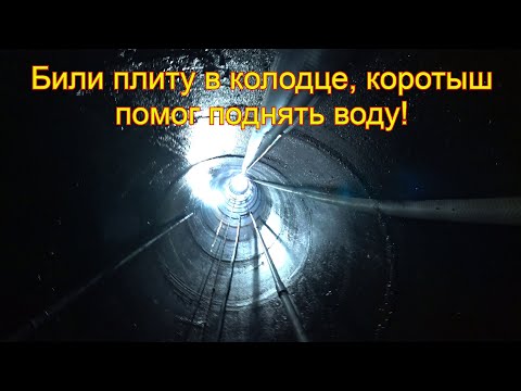 Видео: Абиссинка в колодце, целый день пытались пробить плиту, но воду сняли!