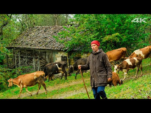Видео: Одинокая миграция - сложное путешествие с плато в деревню | Документальный фильм ▫️4K▫️
