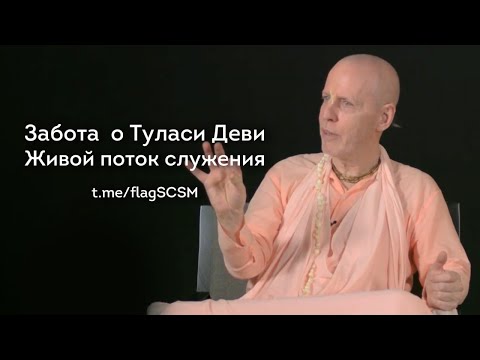 Видео: Забота О Туласи Деви • Живой поток служения