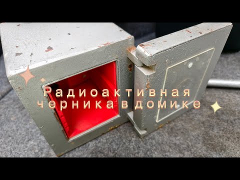 Видео: Радиометр Бета и его свинцовый домик. Балуемся с черникой 