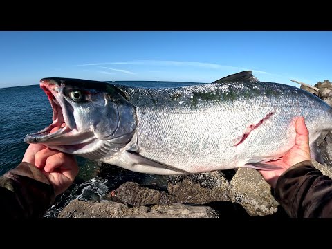 Видео: Ловля лосося (БОЛЬШОГО КИЖУХА) ранним утром на блесну
