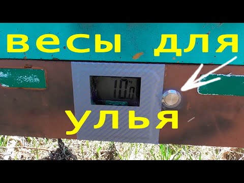 Видео: Весы для улья с кнопкой за 500 рублей!!