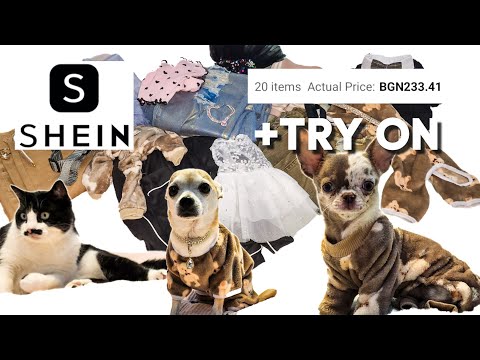 Видео: 🛍 SHE IN шопинг покупки + пробване  🛍