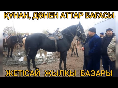 Видео: Жетісай мал базары. 01.12.2022ж  ҚҰНАН, ДӨНЕН, КОКПАР АТТАР БАҒАСЫ.