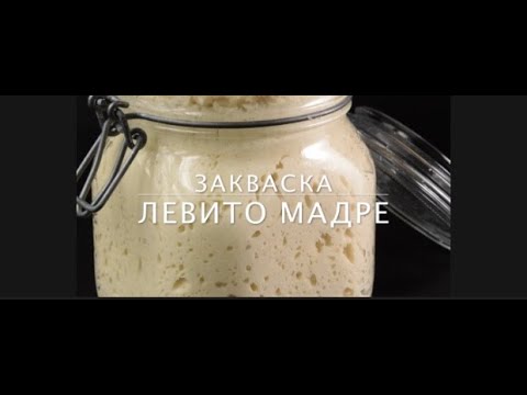 Видео: Итальянская закваска Левито Мадре. Закваска на пшеничной муке. Закваска на винограде.