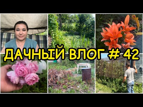 Видео: 🏡 ДАЧНЫЙ ВЛОГ #42: ДЕНЬ 1 /  НАЧИНАЕМ УСТАНАВЛИВАТЬ ЗАБОР / ПОДГОТОВКА УЧАСТКА / РАСЦВЕЛИ ЛИЛИИ