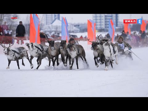 Видео: Самый колоритный, яркий и самобытный праздник Ямала