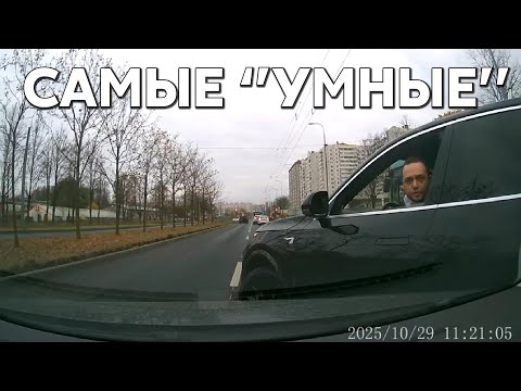 Видео: Подборка САМЫХ "УМНЫХ" водителей #1184