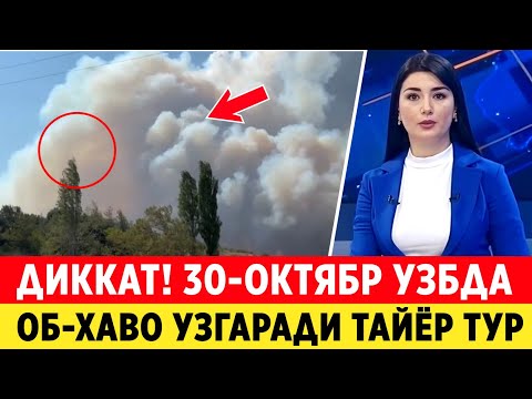 Видео: ШОШИЛИНЧ! УЗБЕКИЧТОН ФУКОРОЛАРИГА ТЕЗКОР ХАБАР 30-ОКТЯБРДАН ТАЙЁР ТУРИНГ..