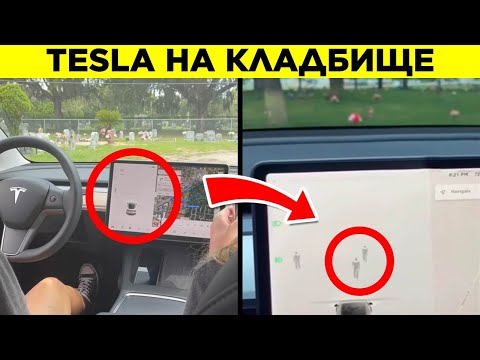 Видео: Загадки ТикТока, К Которым Интернет Был Не Готов