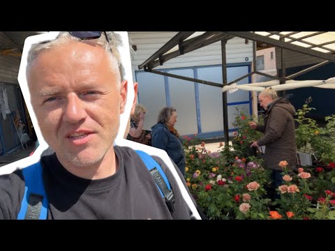 Видео: Рижский центральный рынок: миллион алых роз. Я пожалел о содеяном