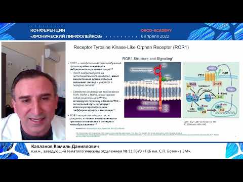 Видео: Новые агенты при ХЛЛ – что нас ждет в будущем. Капланов К.Д.