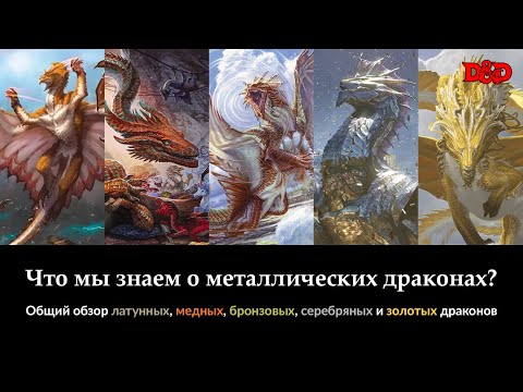Видео: Что мы знаем о металлических драконах? | D&D Lore