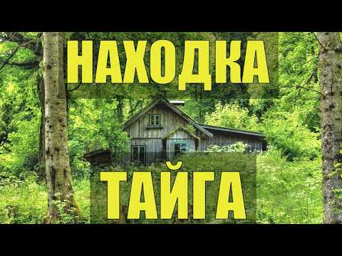 Видео: ТАЙНА РУБЛЕНОЙ ИЗБЫ. ТАЙГА.