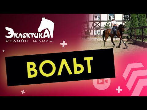 Видео: Как делать волть (круг) на лошади?  Выездка