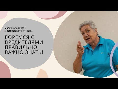 Видео: 649. Почин, Землин и Базудин... очень старые, проверенные и надёжные!