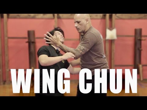 Видео: Можно ли применить теорию центральной линии?