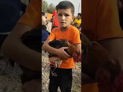Видео: Бозори Даханаи Кулоб