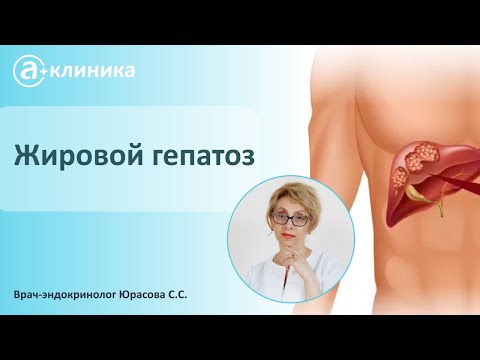 Видео: Врач-эндокринолог Юрасова С.С. про жировой гепатоз: что это такое и как лечить?