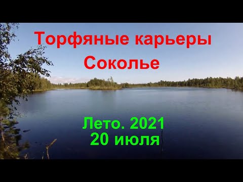 Видео: Торфяные карьеры Соколье. 20 июля 2021.
