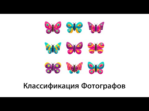 Видео: КЛАССИФИКАЦИЯ ФОТОГРАФОВ
