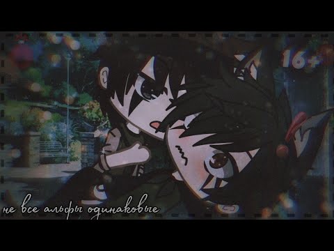 Видео: "Не все альфы одинаковые" ||gay glmm||yaoi||gacha life||