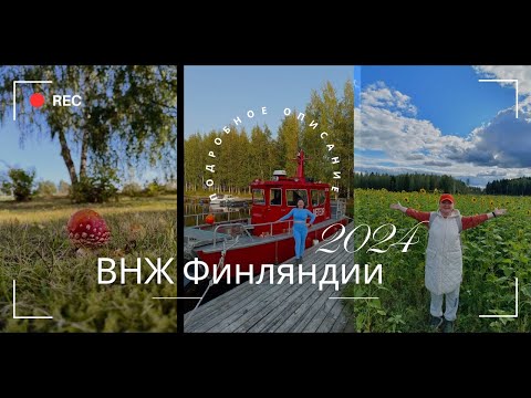 Видео: ВНЖ Финляндии. Стоимость оформления. Студенты. Переезд из Казахстана. Июнь 2024