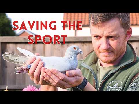 Видео: Когда Fancy наносит ответный удар