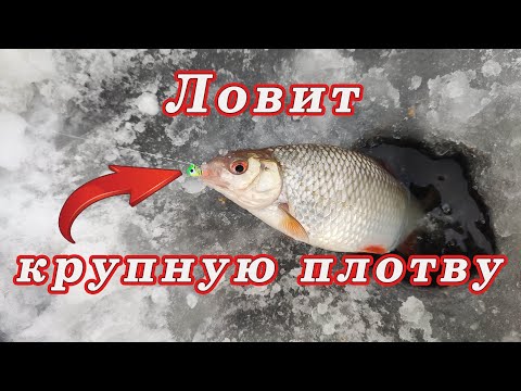 Видео: Мормышка Вылавливает всю КРУПНУЮ ПЛОТВУ!!! Ловля плотвы зимой!