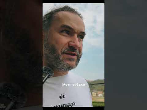 Видео: Новое видео на YouTube: Дикий чай. Большое путешествие в поисках самого редкого чая!