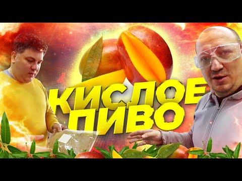 Видео: КИСЛОЕ ПИВО Sour Ale с пюре МАНГО. Просто ПУШКА!