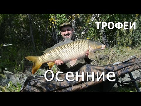 Видео: Осенние ТРОФЕИ на Оби!