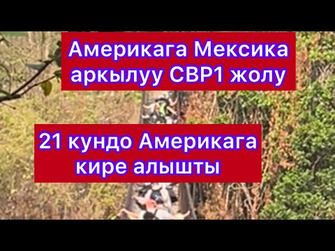 Видео: Мексика / Кыргыз паспорт СШАга  отуу / СBP 1 жок кандай отуп калышты / 21 кундо Америкага кируу