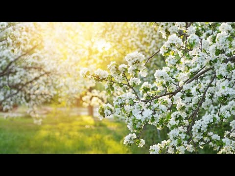 Видео: Мир - в тебе!