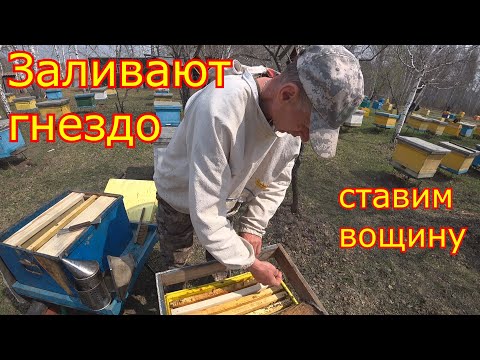 Видео: ЗАЛИВАЮТ ГНЁЗДА! Ставим вощину! Экcтренное расширение гнезда!!!