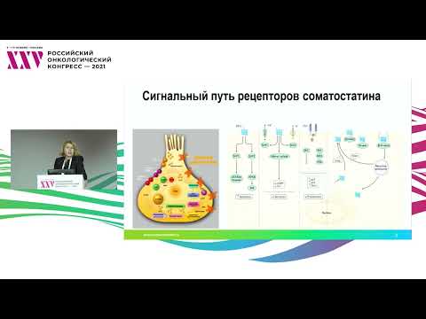 Видео: Аналоги соматостатина при прогрессировании НЭО – продолжить нельзя отменить: где поставить запятую