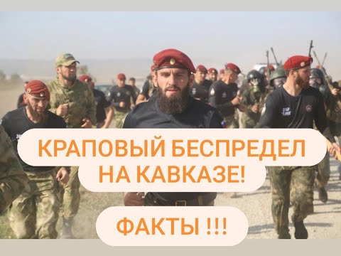 Видео: КРАПОВЫЙ БЕСПРЕДЕЛ НА КАВКАЗЕ! ФАКТЫ!!!